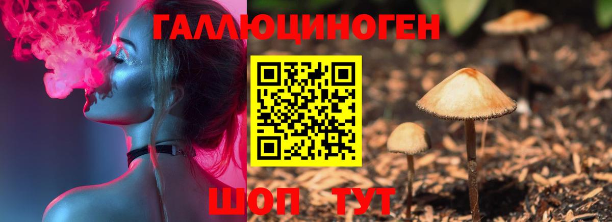 Псилоцибиновые грибы Psilocybe Луга